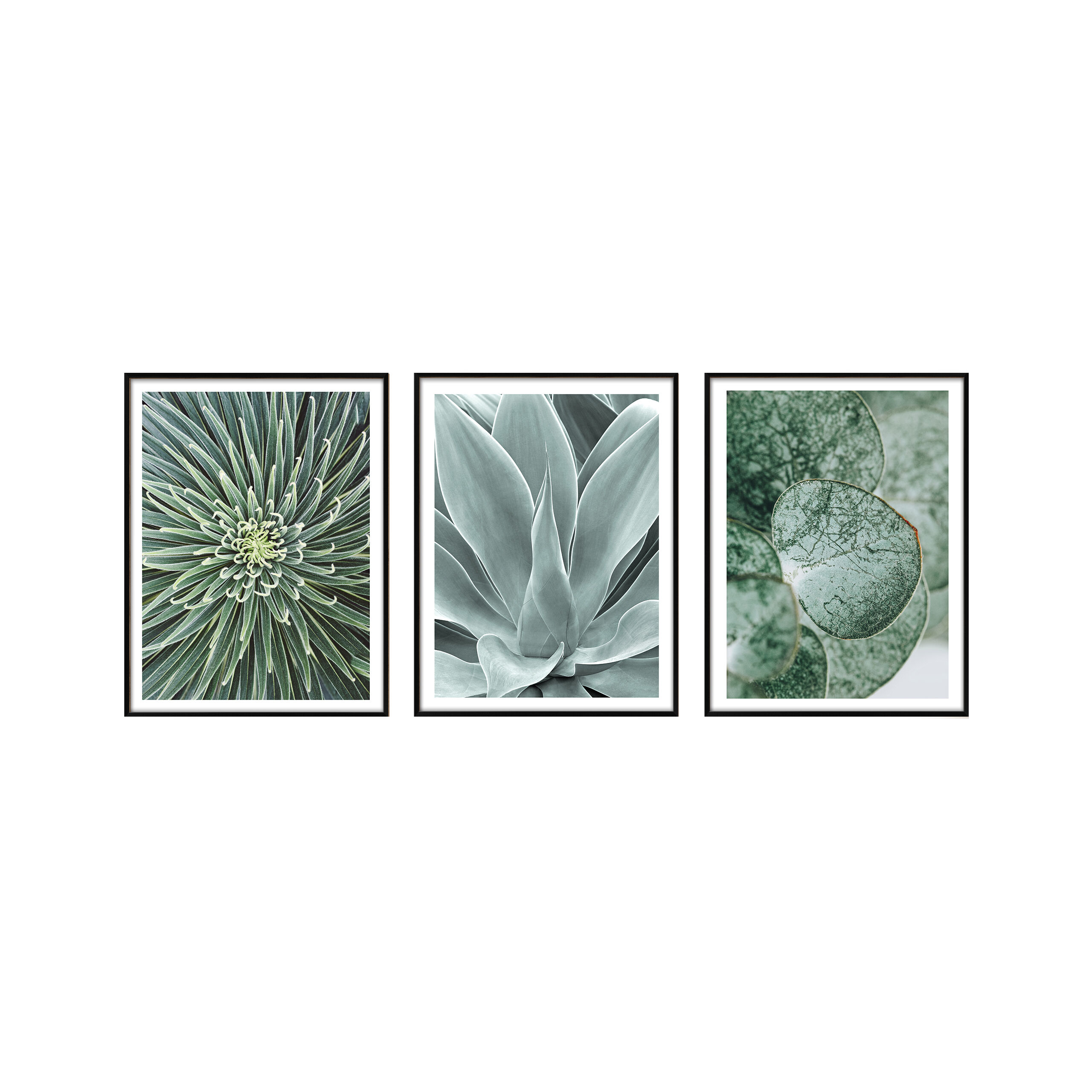 Zestaw obrazów 045DB, 3 x 30 x 40 cm - Bricomarche.pl