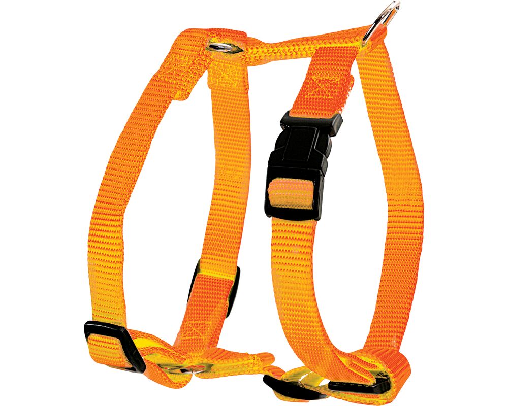 Szelki nylon regulowane 20 mm pomarańczowy ZOLUX