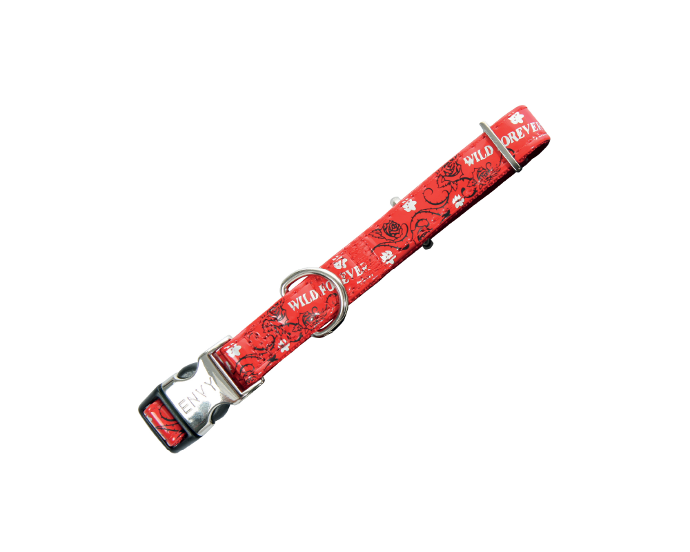 Obroża ENVY FOREVER regulowana 10 mm czerwony ZOLUX