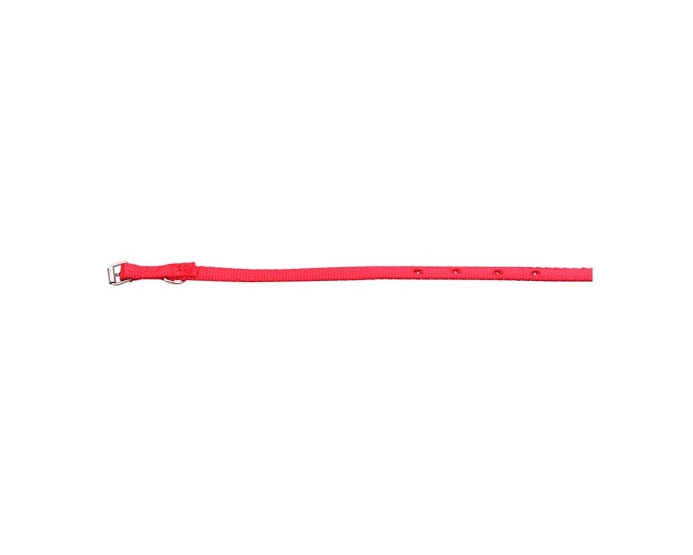 Obroża taśma 13/37 cm czerwona CHICO