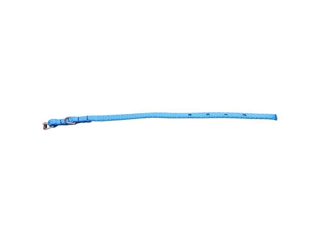 Obroża taśma 13/37 cm niebieska CHICO