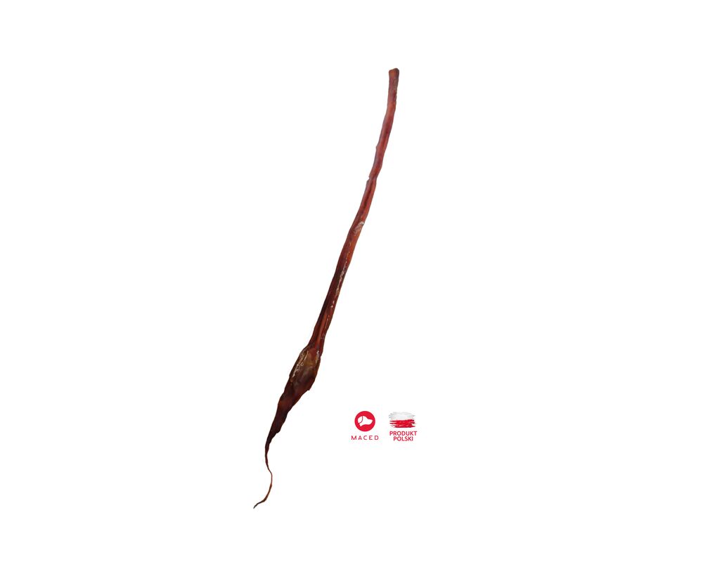 Przysmak suszony penis wołowy cały 70 cm 140 g Maced