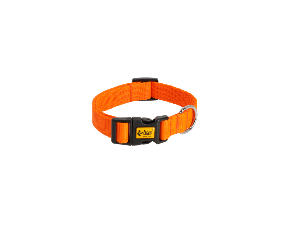 Obroża regulowana Energy 2 x 45 cm (24-39) pomarańczowa
