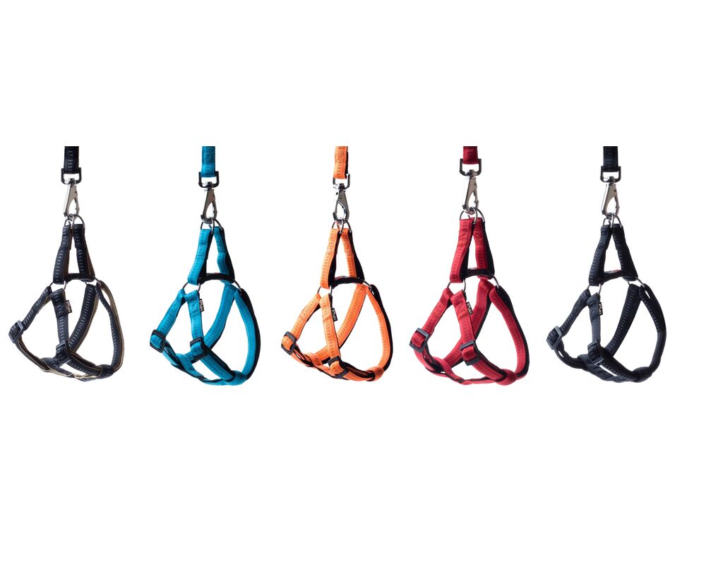 Szelki Soft Style mix L 2,0 cm