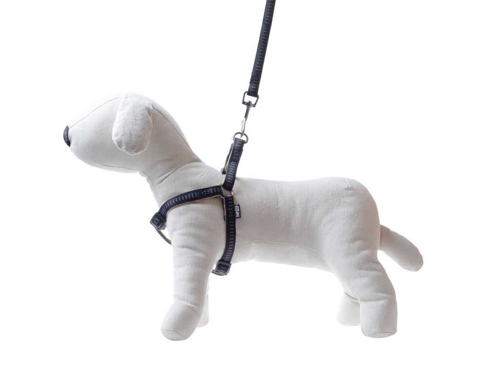 Smycz + szelki Soft Style czarne XL 2,5 cm