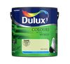 Farba lateksowa Kolory Świata paki akacji 2,5 l Dulux