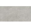 Gres szkliwiony G314 29,8 x 59,8 cm Light Grey gat.1