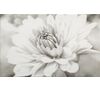 Dekor GARDA FLOWER 25 x 40