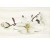 Dekor LIRA white flower 25 x 40