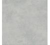 Gres szkliwiony GPT 110 LIGHT GREY 29,8 x 29,8 