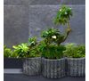 Gazon MOONFLOR DMP Szary 30 x 25 x 20 cm