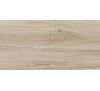 Gres szkliwiony SCANDINAVIA CREAM (61,6) 31 x 62 cm G.I