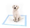 Mata absorbująca Dog Mats 60 x 60 cm 30 szt.