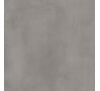 Gres szkliwiony rektyfikowany Walk grey 60 x 60 cm gat. I