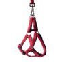 Szelki Soft Style czerwone XL 2,5 cm