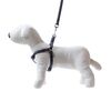 Smycz + szelki Soft Style czarne M 1,5 cm