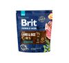 Karma sucha dla psa Premium by nature Sensitive lamb 1 kg Brit