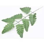 Liść paproci sztuczny 40 x 20 cm