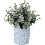 Sukulent w doniczce 23 cm jasnozielony