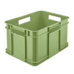 Pojemik Bruno Eco-Line Euro-Box M 35 x 27 x 22 cm 16 l zielony