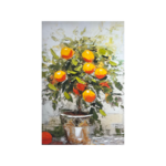 Obraz 70 x 100 cm HP013 Oranges