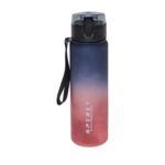Bidon Fresh Spirit 0,65 l niebiesko-bordowy