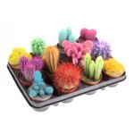 Kaktus malowany mix 12 cm doniczka 8,5 cm