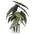 Sztuczny kwiat w doniczce BEGONIA 39 cm