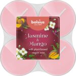 Podgrzewacze zapachowe Jasmine & Mango 8 sztuk