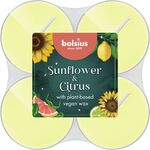 Podgrzewacze zapachowe Sunflower & Citrus 8 sztuk