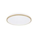 Plafoniera LINUS LED C 12 W nW strühm