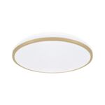 Plafoniera LINUS LED C 24 W nW strühm