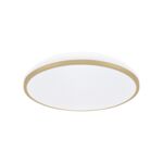 Plafoniera LINUS LED C 18 W nW strühm