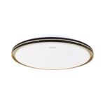 Plafoniera FIESTA LED C 24 W cct strühm