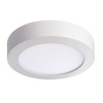 Oprawa LED CARSA V2LED 12 W NW biały