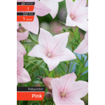 Rozwar Pink kapers I