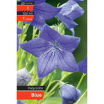 Rozwar Blue kapres I