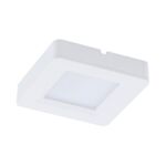 Oprawa dekoracyjna IGA LED D  white nW