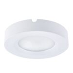 Oprawa dekoracyjna IGA LED C  white nW