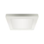 Oprawa sufitowa OLGA LED D 12 W  white cct strühm