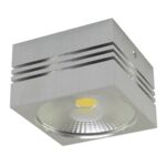 Oprawa sufitowa GUSTI LED 10 W nW strühm