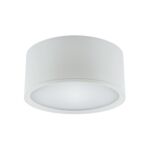 Oprawa sufitowa ROLen LED 15 W  white nW strühm