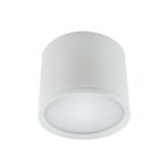 Oprawa sufitowa ROLen LED 10 W white nW strühm