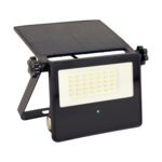 Naświetlacz z czujnikiem ruchu SANTOR LED 10 W zimna biel cW strühm
