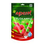 Nawóz Hortus do truskawek 0,35 kg Agrecol