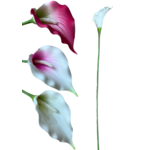Gałązka kalii 75 cm mix