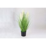 Trawa w doniczce 60 cm