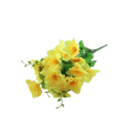 Bukiet żonkili 24 główki 54 cm