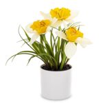 Żonkil w donicy led 28 x 25 cm