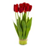 Bukiet tulipanów 38 cm ciemny czerwony